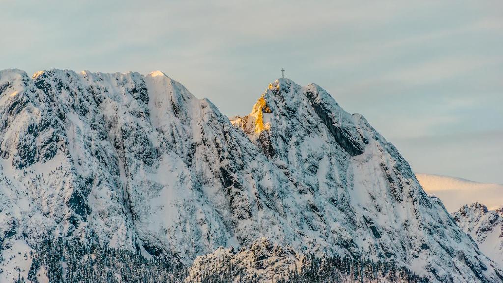 Hotel Paryski Art & Business Zakopane - Basen Jacuzzi Sauna Malpi Gaj - Resim 32