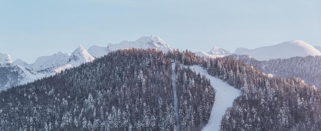 Hotel Paryski Art & Business Zakopane - Basen Jacuzzi Sauna Malpi Gaj - Resim 30