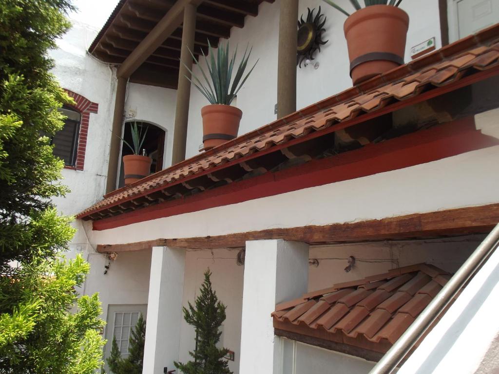 a house with potted plants on the side of it at Suites Aldama in Toluca