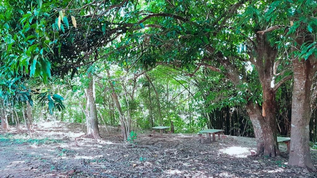  Fazenda Araras Pirenópolis