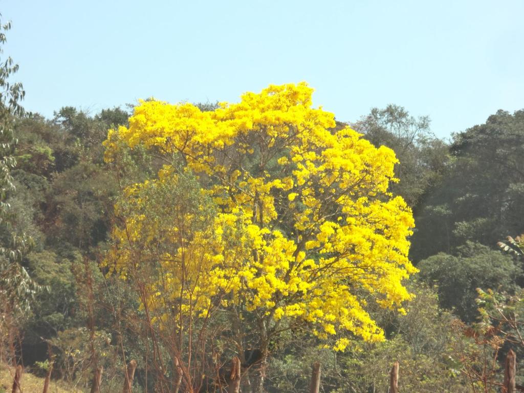  Sossego Da Mata