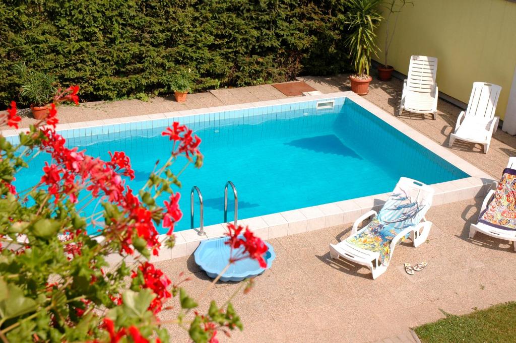 uma piscina com duas espreguiçadeiras e uma piscina em Erika Pension em Keszthely