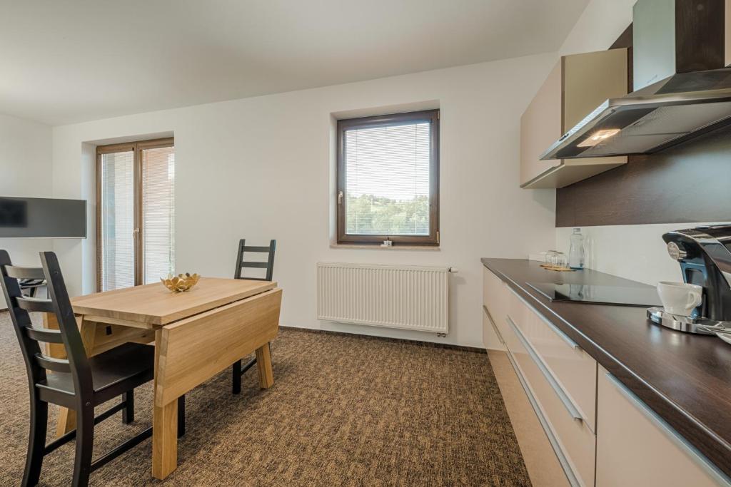 Kuchyň nebo kuchyňský kout v ubytování Village Resort Hanuliak Apartmany