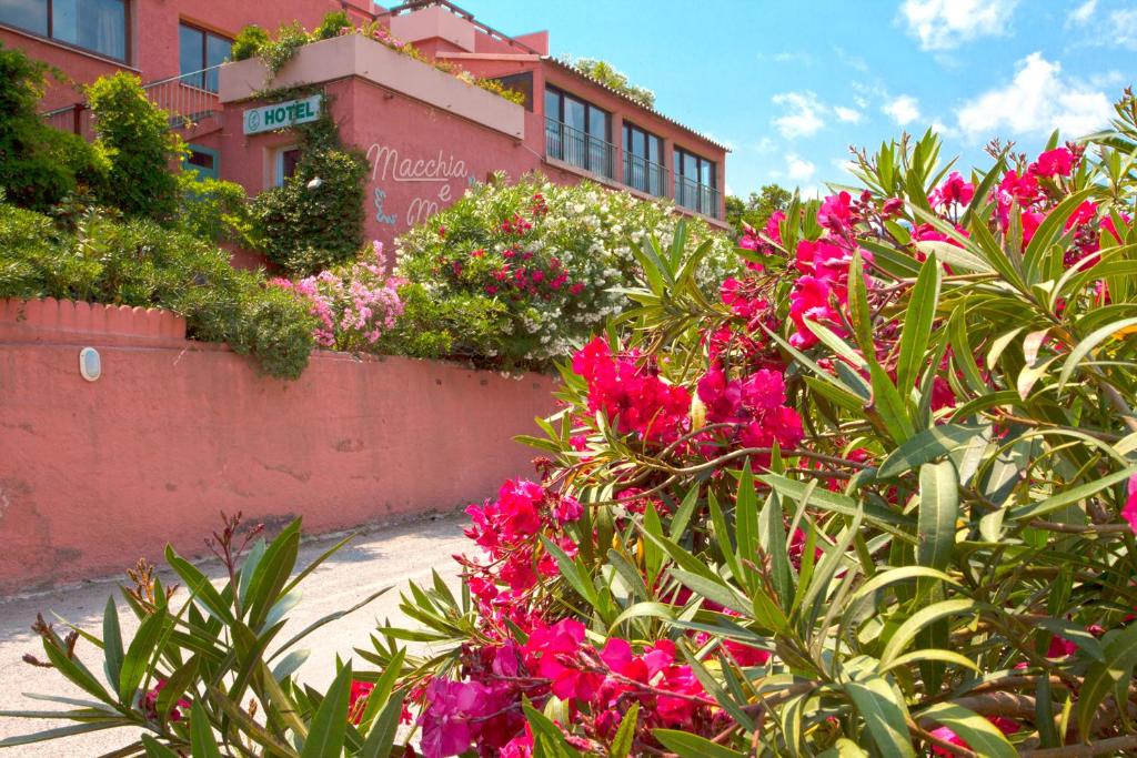 Zahrada ubytování Hotel Macchia e Mare