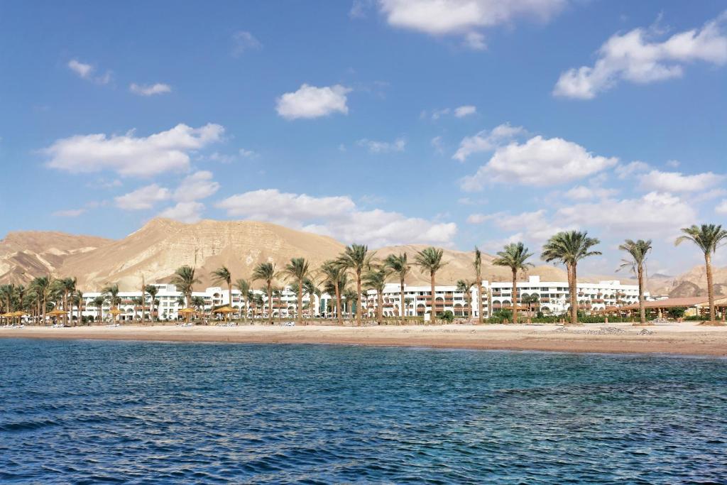 a beach with palm trees and palm trees at Movenpick Taba Resort & Spa in Taba