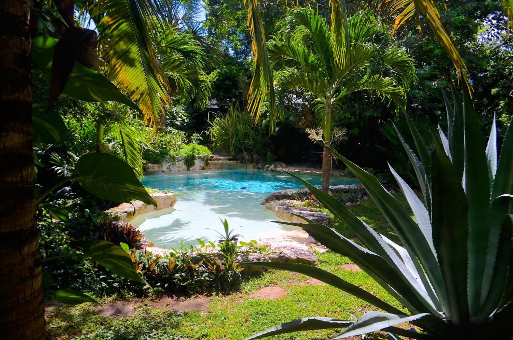 a pool in the middle of a garden with palm trees at Hacienda Xcaret in Playa del Carmen
