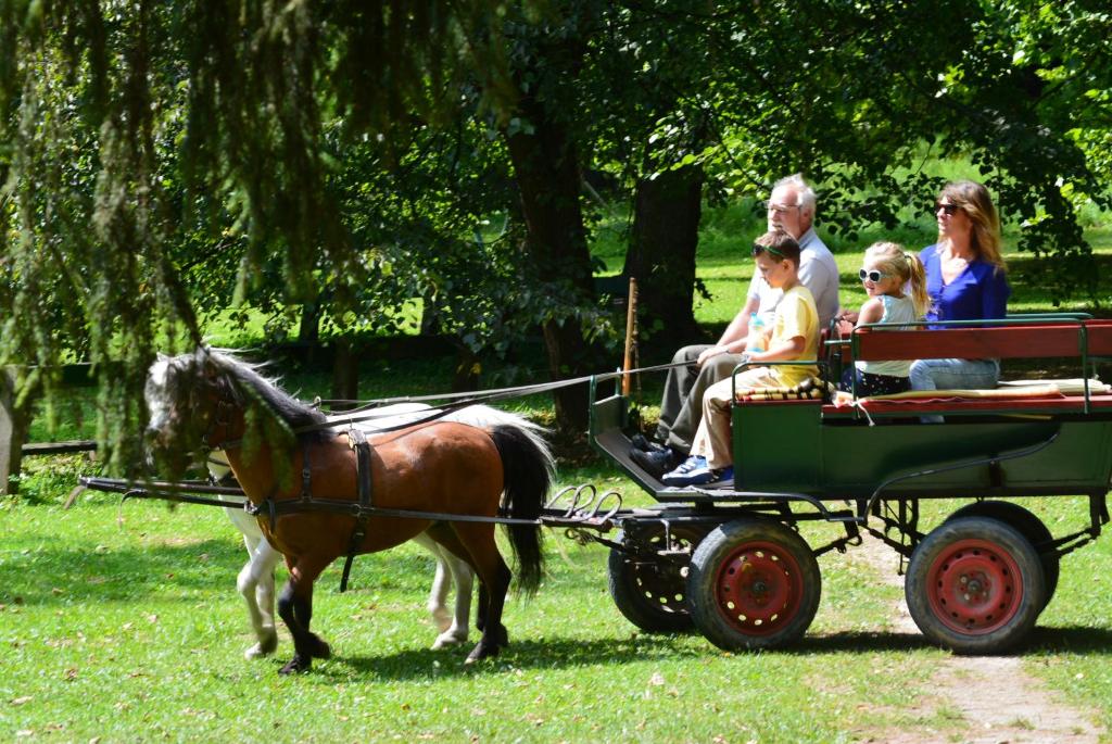 Goście zatrzymujący się w obiekcie Bakony Hotel