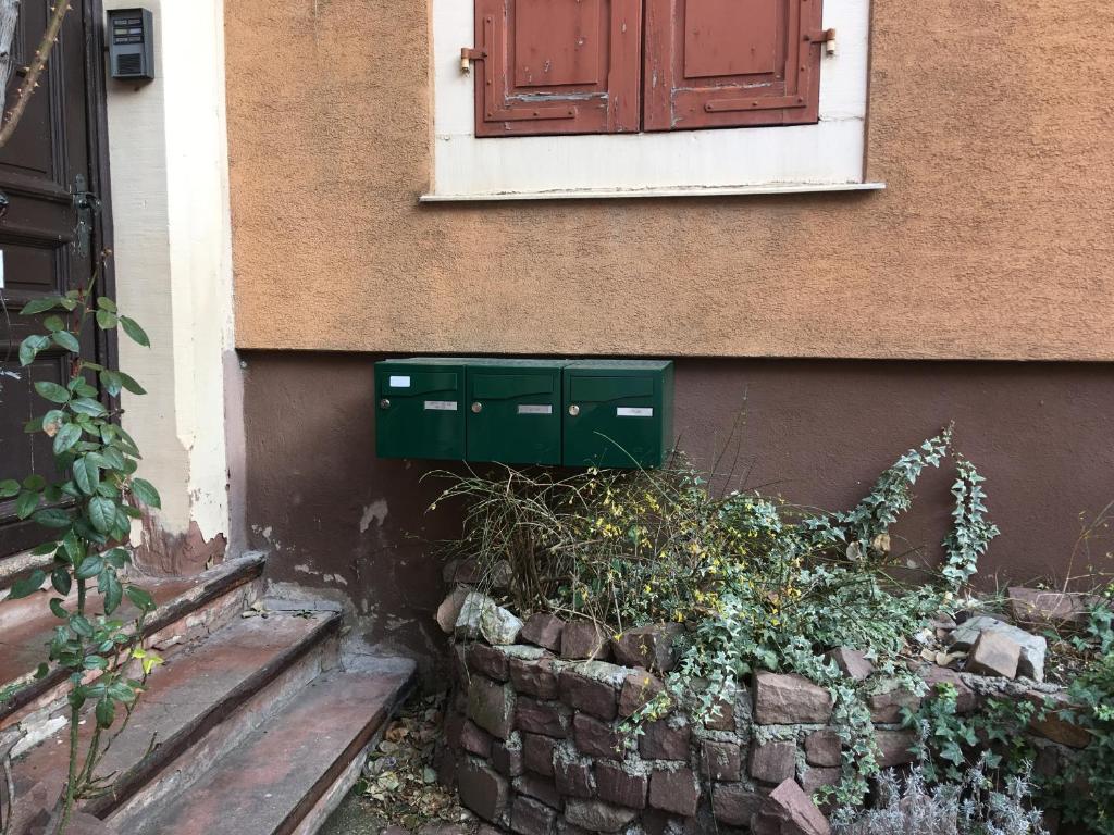 Finala Colmar – photo 46