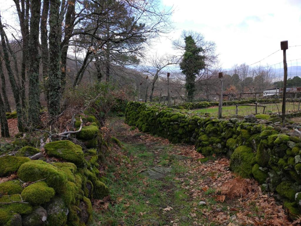 A garden outside Casa Rural Las 6 Hermanas