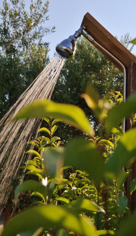 A garden outside Il Viaggio Verde
