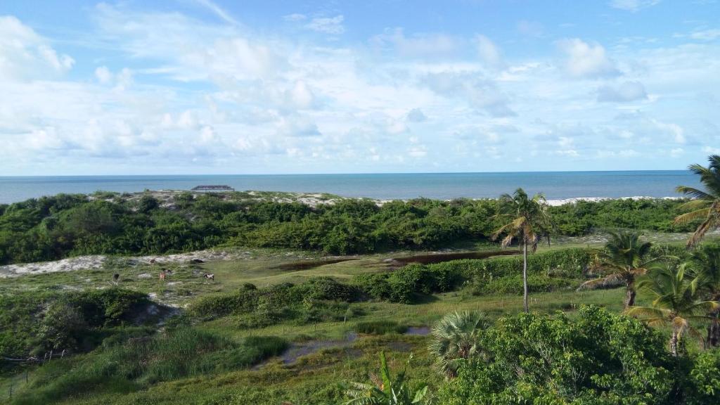  Villa Lagosta no Abacaxi