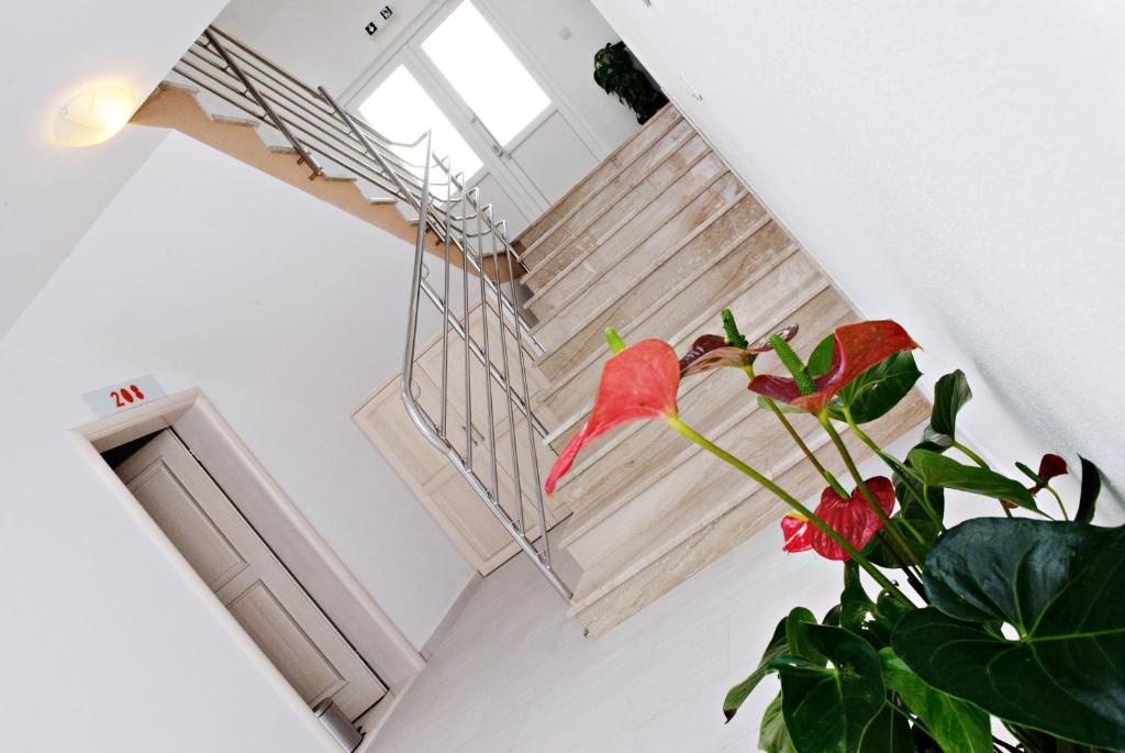 Villa Palloma - APPARTEMENT ÉCONOMIQUE DE TOUT-BALES