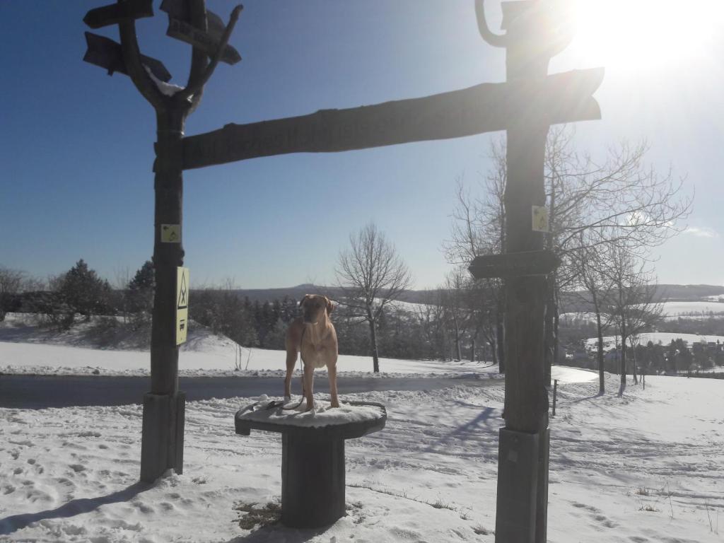 Fewo mit Fichtelberg und Keilbergblick v zimě