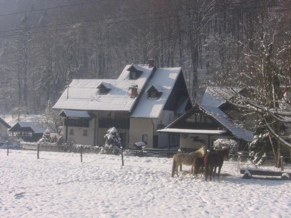 tres caballos parados en la nieve frente a una casa en Apartments Gubanec en Cerklje na Gorenjskem