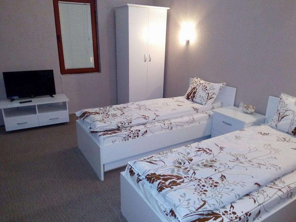 a bedroom with two beds and a television at Kafana "Kaj Zoki" in Probi&scaron;tip
