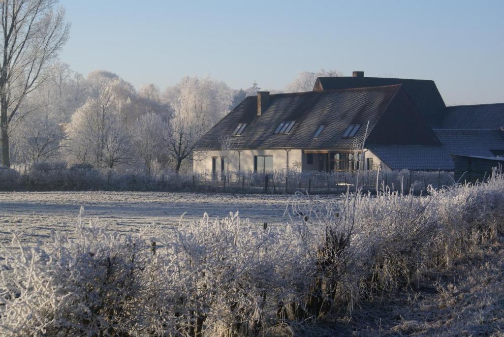 B&B De Metstermolen v zimě