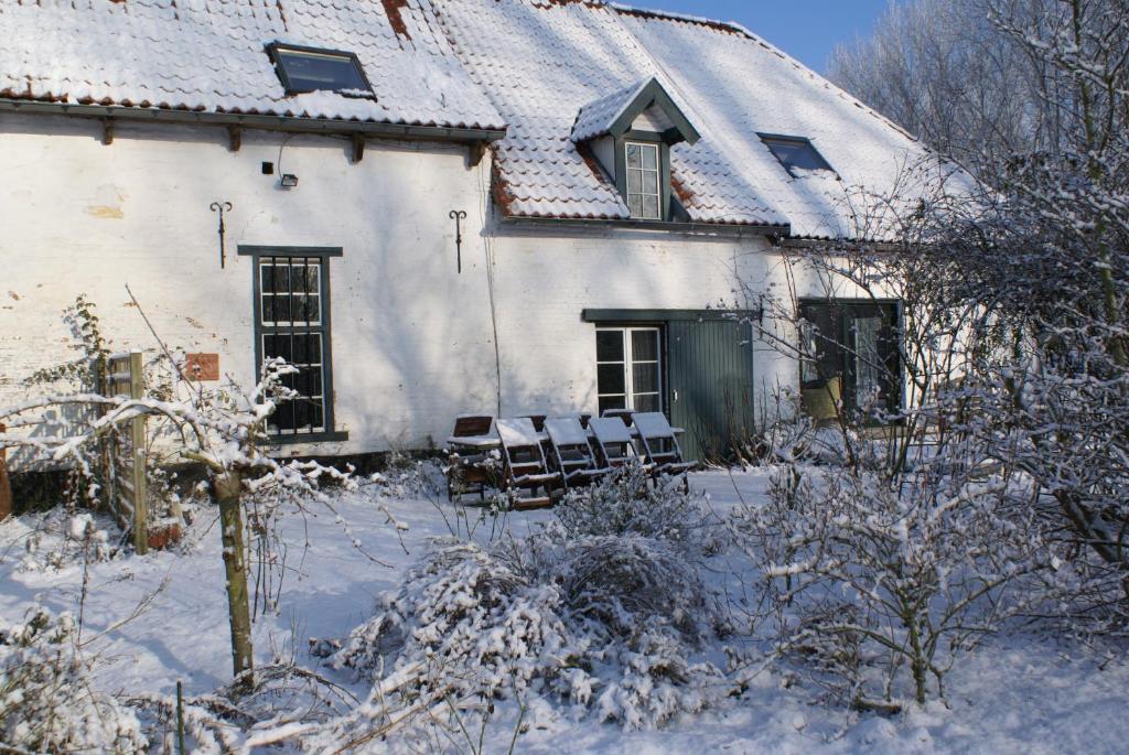 B&B De Metstermolen v zimě