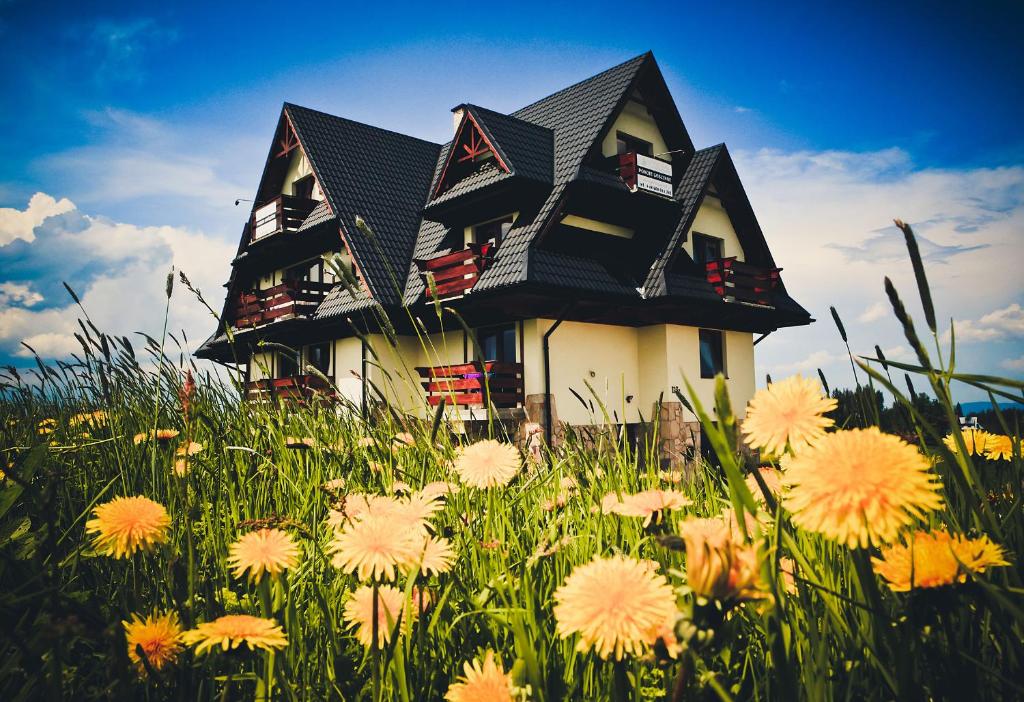 una casa en medio de un campo de flores en Willa w Gliczarowie, en Gliczarów Górny