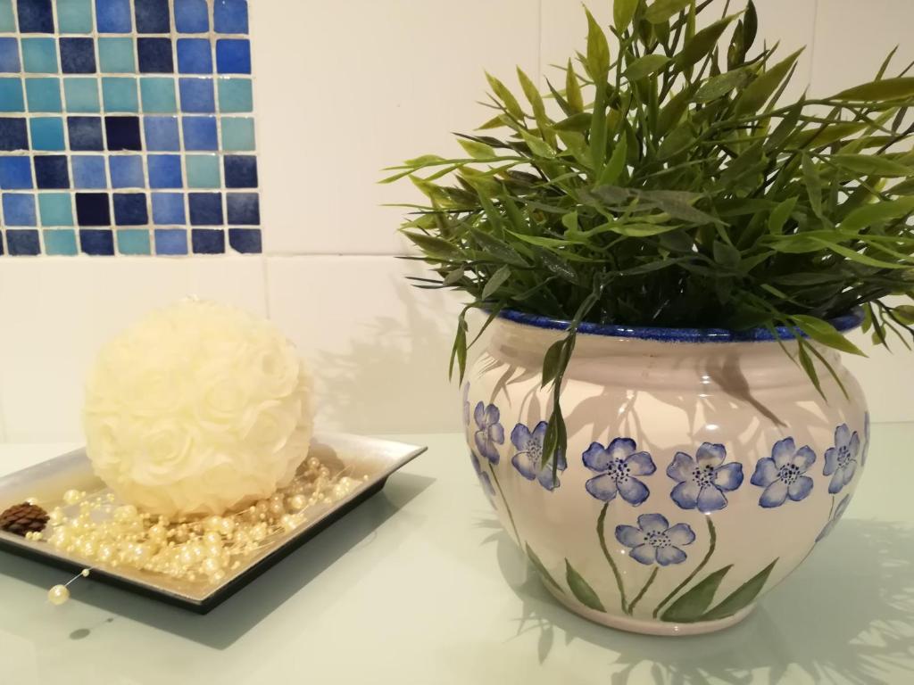 シエナにあるCasa Arcobalenoの皿の横に植物を入れた花瓶
