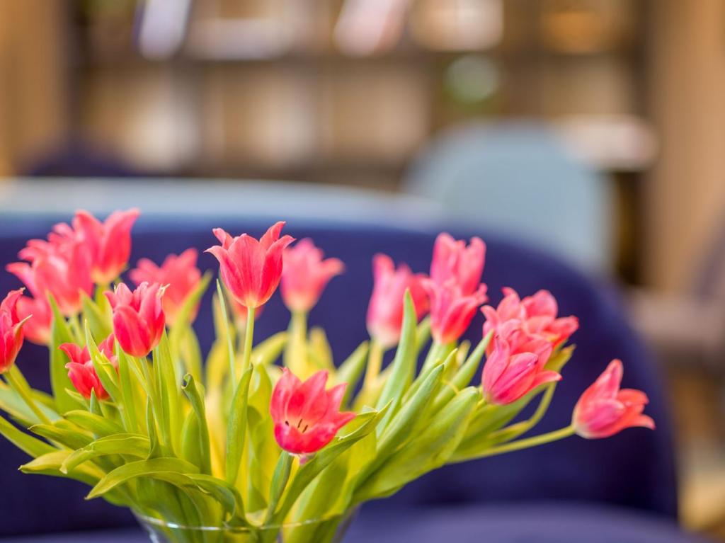 Hotel Olympia in Bruges - Resim 40