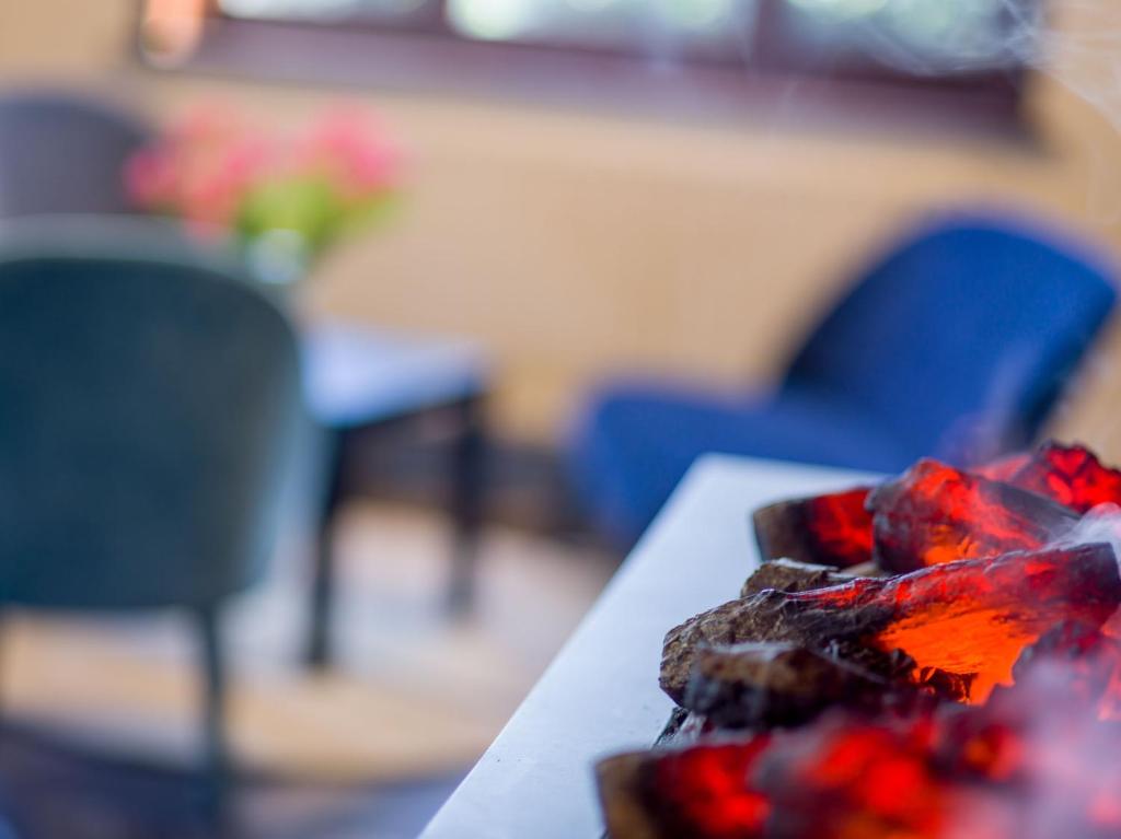 Hotel Olympia in Bruges - Resim 41