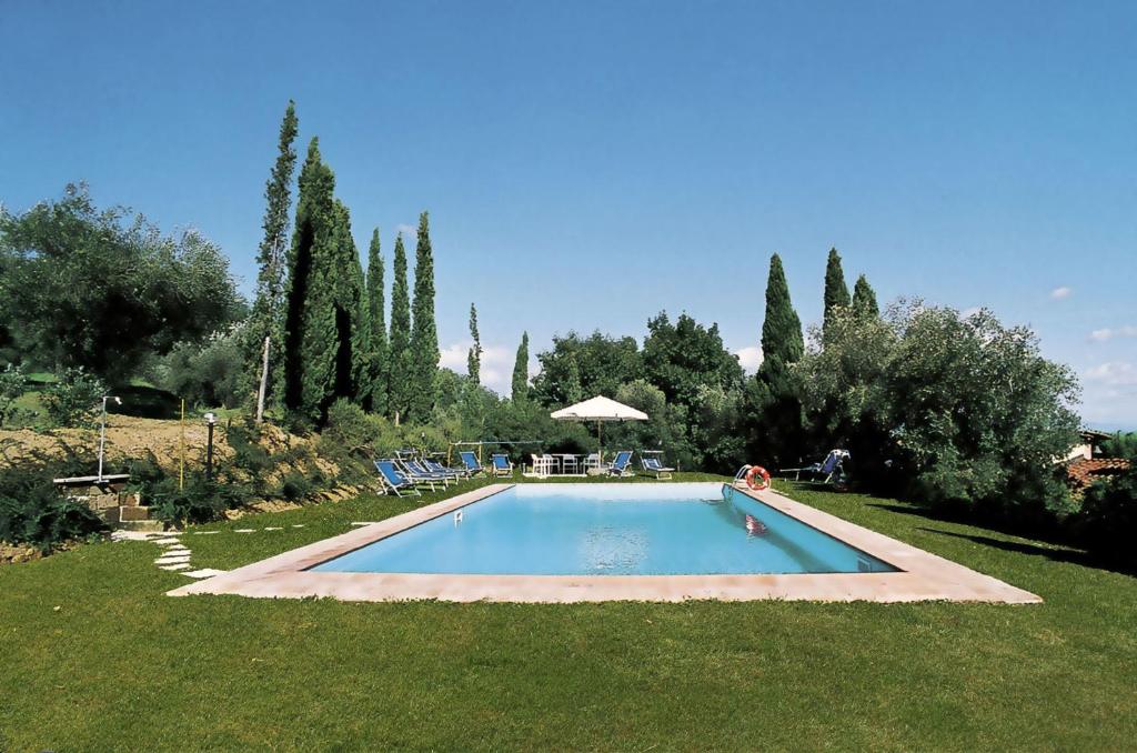 a large swimming pool in a yard with trees at Villa Al Fanucchi in Capannori