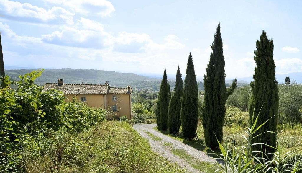 una carretera que conduce a una casa con cipreses en Villa Teto, en Collodi