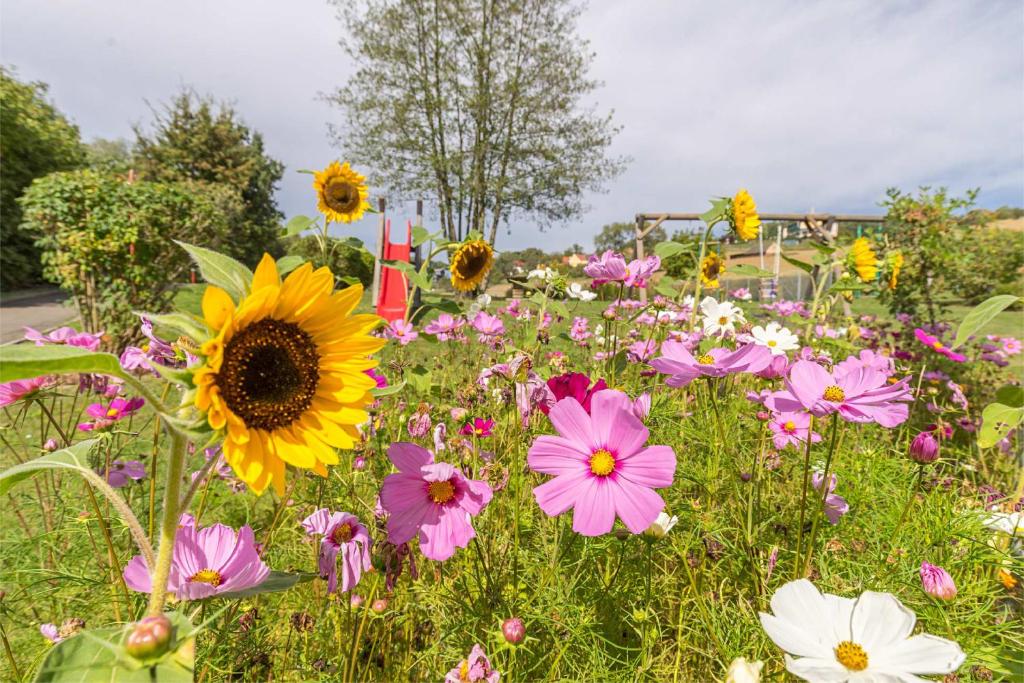 Zahrada ubytování Familien Hotel Krainz