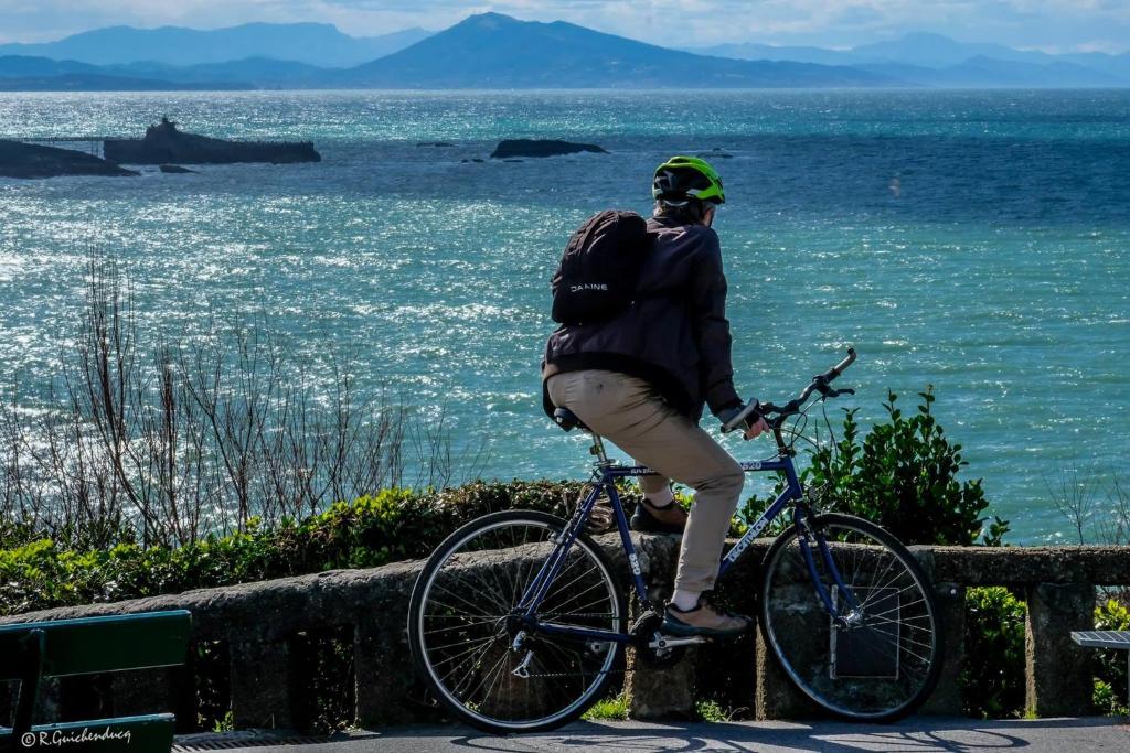 a person on a bike looking at the water at Hotel Villa Catarie in Guéthary