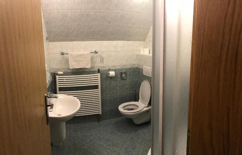 małą łazienkę z toaletą i umywalką w obiekcie Penzion Pod Zvonem w mieście Hynčice pod Sušinou
