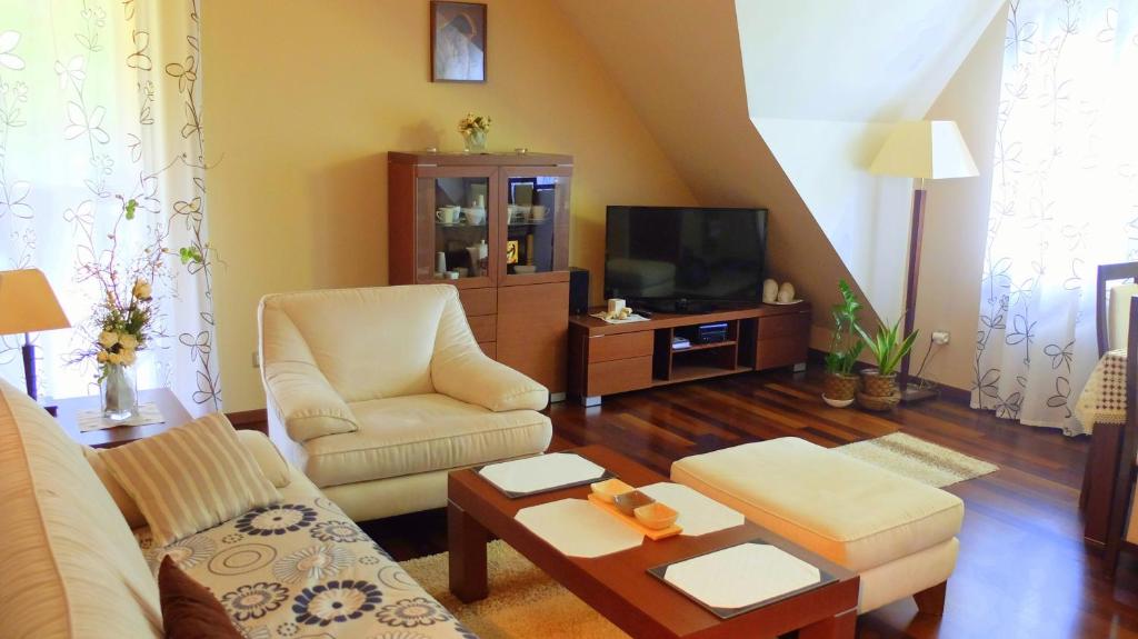 Una sala de estar con un sofá y un televisor. en Apartament Parkowa Polana, en Polanica-Zdrój