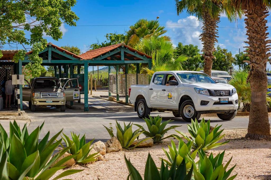 Fotografie z fotogalerie ubytování Buddy Dive Resort v destinaci Kralendijk