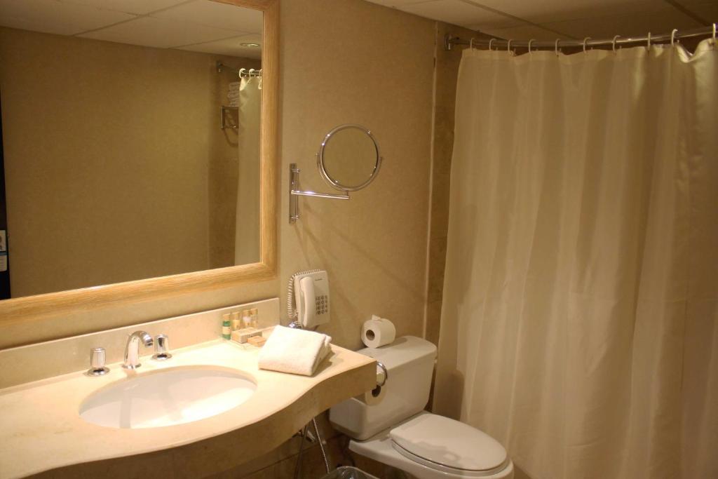 Sol de Oro Hotel & Suites - 标准双人间