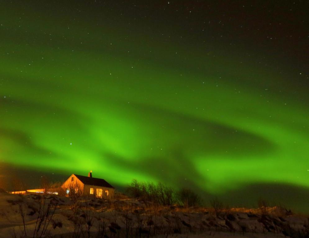 une maison sous les lumières vertes du nord dans le ciel dans l'établissement Lækjarkot Rooms and Cottages with Kitchen, à Borgarnes