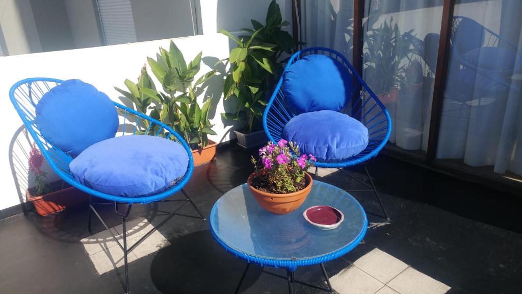 three blue chairs and a table with a potted plant at Las Frambuesas in Viedma