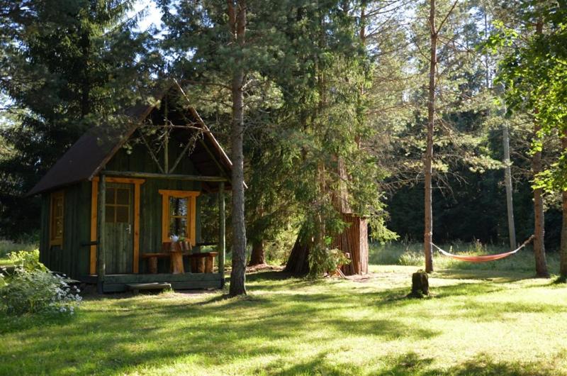 a small cabin in the middle of a field at Saia Forest House in Vose