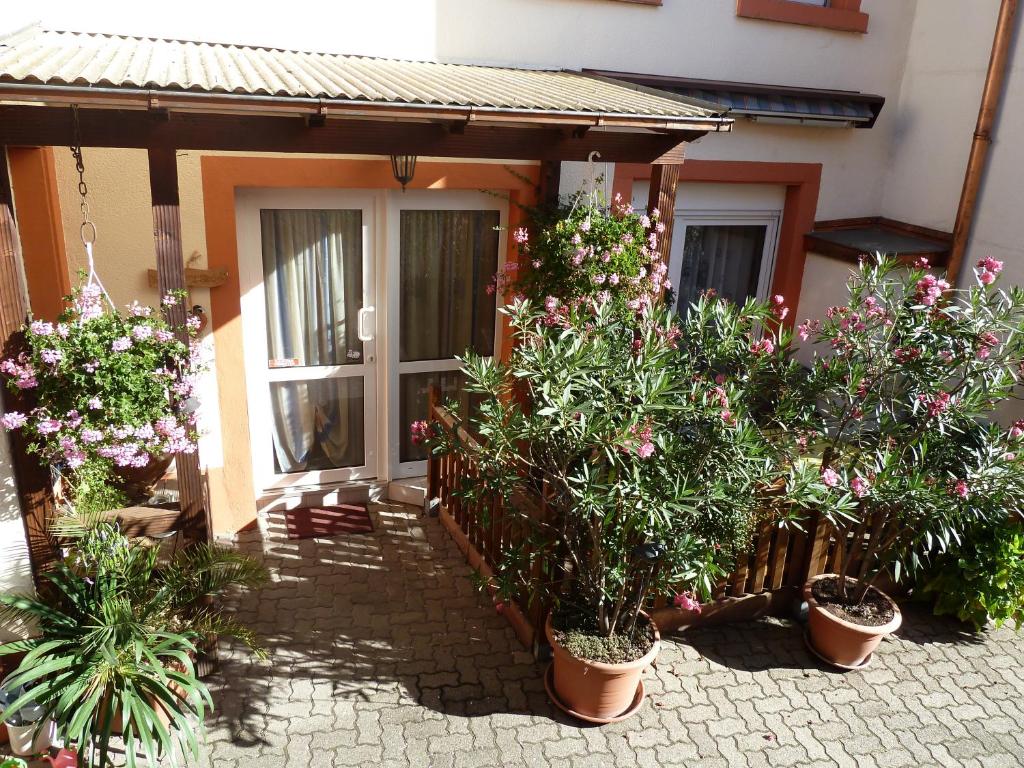 Zahrada ubytování Ferienwohnung Vino Palatina