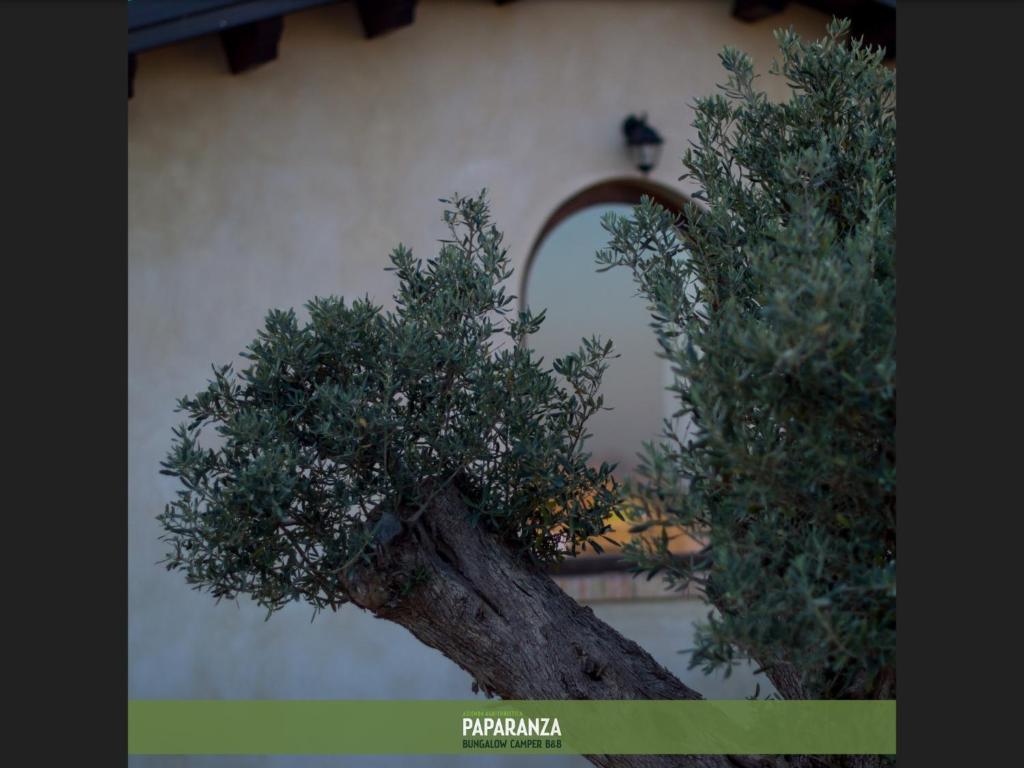 Fotografie z fotogalerie ubytování Agriturismo Paparanza v destinaci Valguarnera Caropepe