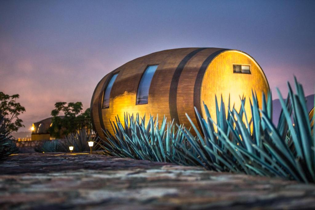 uma casa de barril de madeira fica em cima de algumas plantas em Matices Hotel de Barricas em Tequila