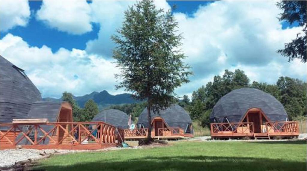 a group of domes with a bridge in a field at Domos Elohim in Pucón