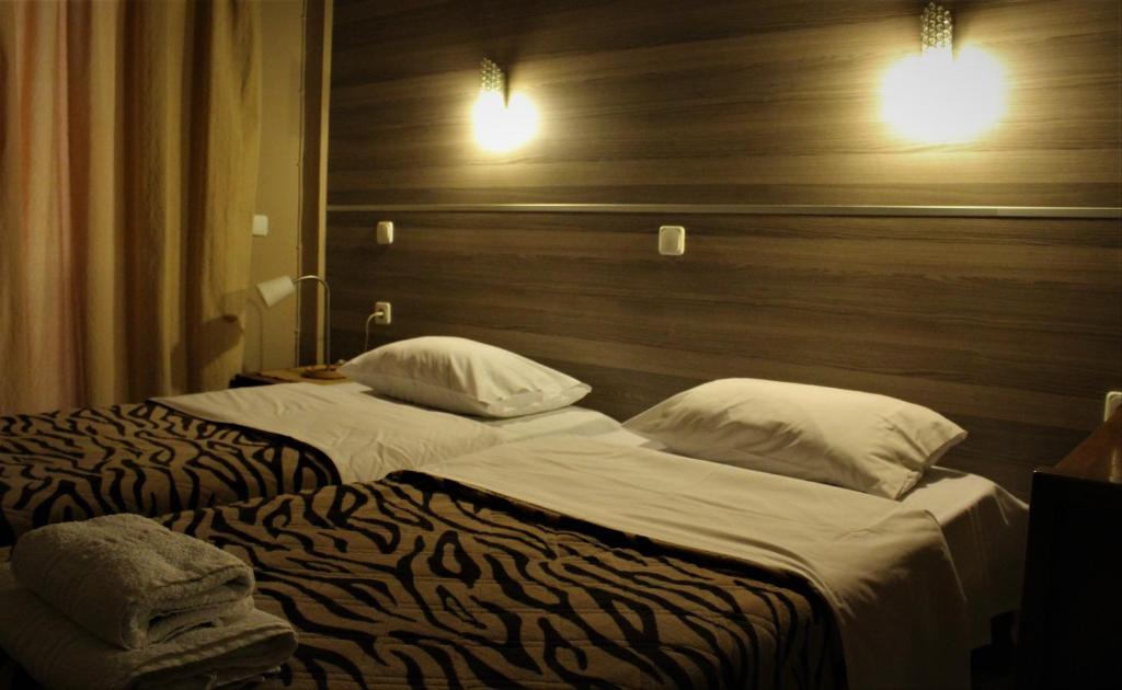 ポリカストロンにあるPark Hotel Polykastroのホテルルーム内の隣接するベッド2台