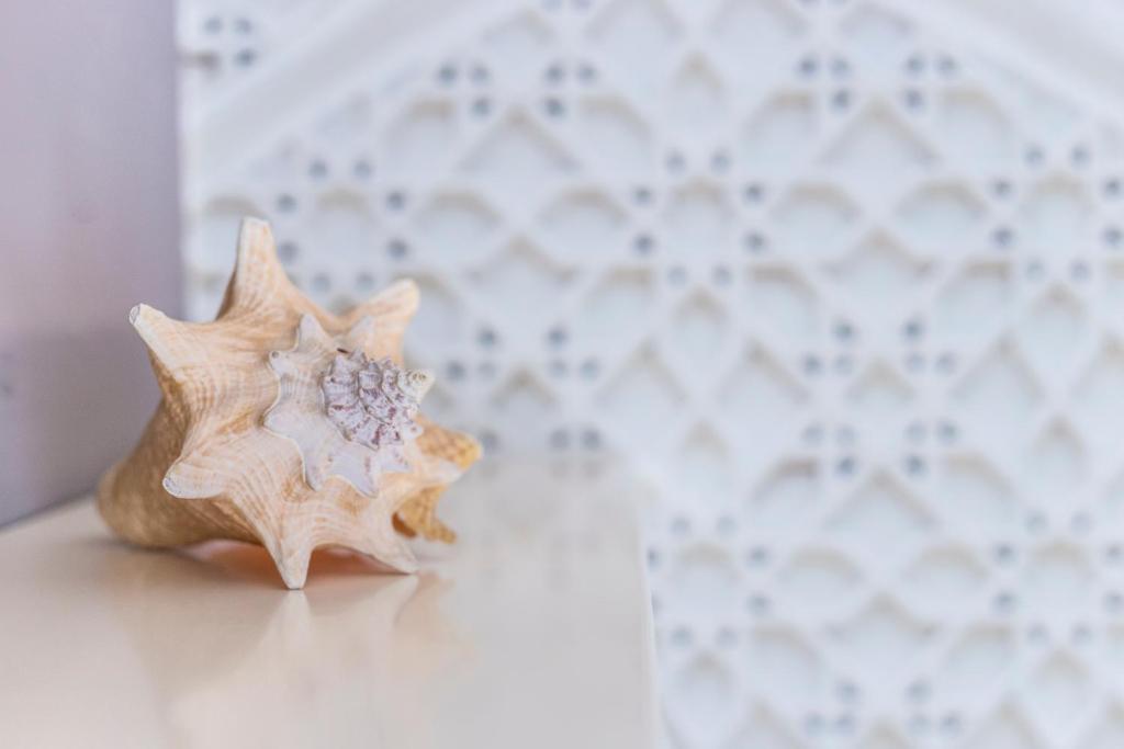 Fotografie z fotogalerie ubytování Sirena Boutique Hotel v destinaci Gabicce Mare