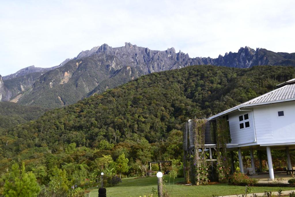una casa con una montagna sullo sfondo di Mesilau Mountain Retreats a Kampong Kundassan