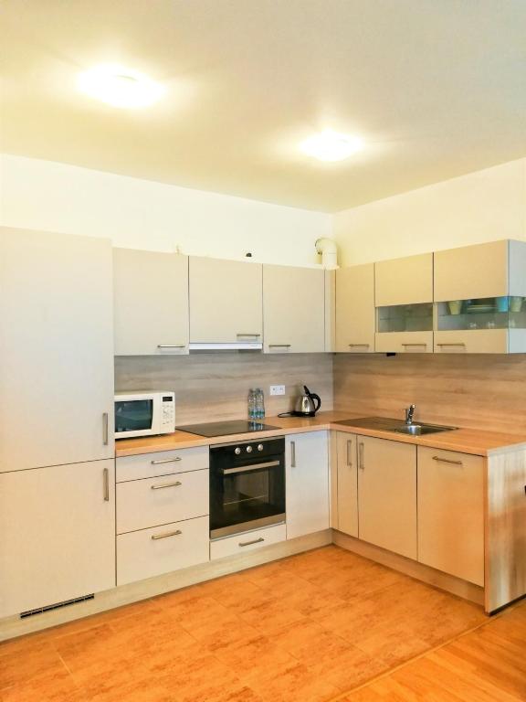 Kuchyň nebo kuchyňský kout v ubytování Apartment Promenada