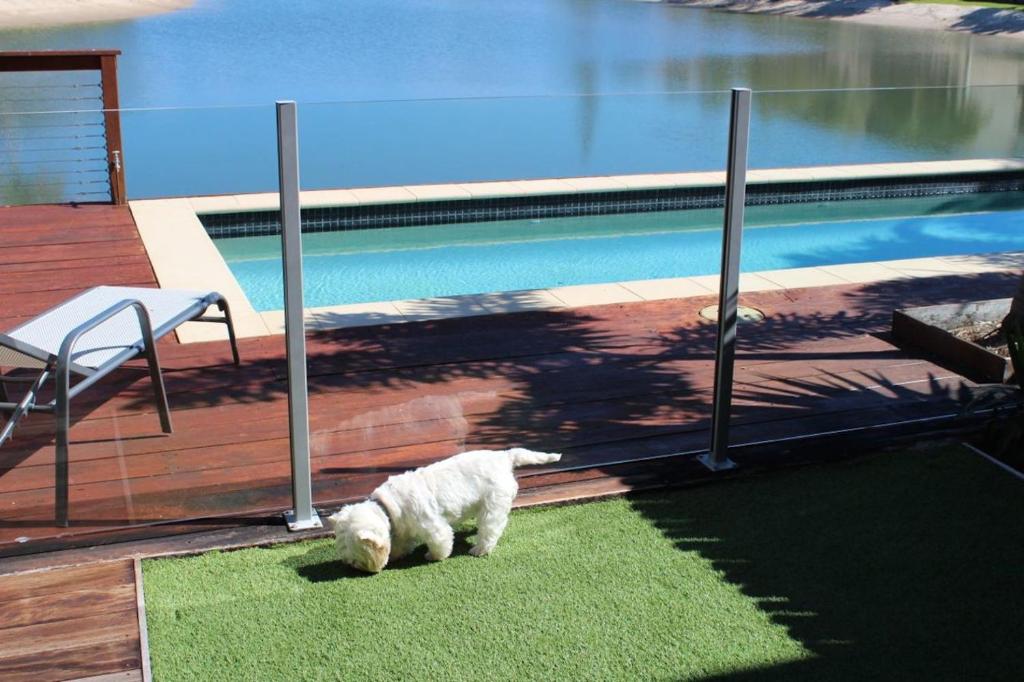 
The swimming pool at or near Saltwater Villas - Pet Friendly Accommodation
