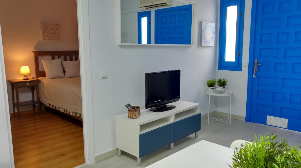 Televízia a/alebo spoločenská miestnosť v ubytovaní Apartament Virginia