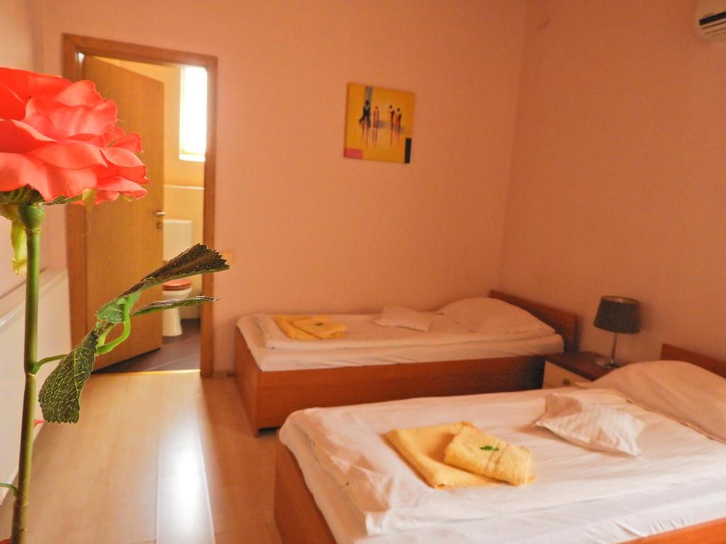 Pensiunea Caramell - Resim 21