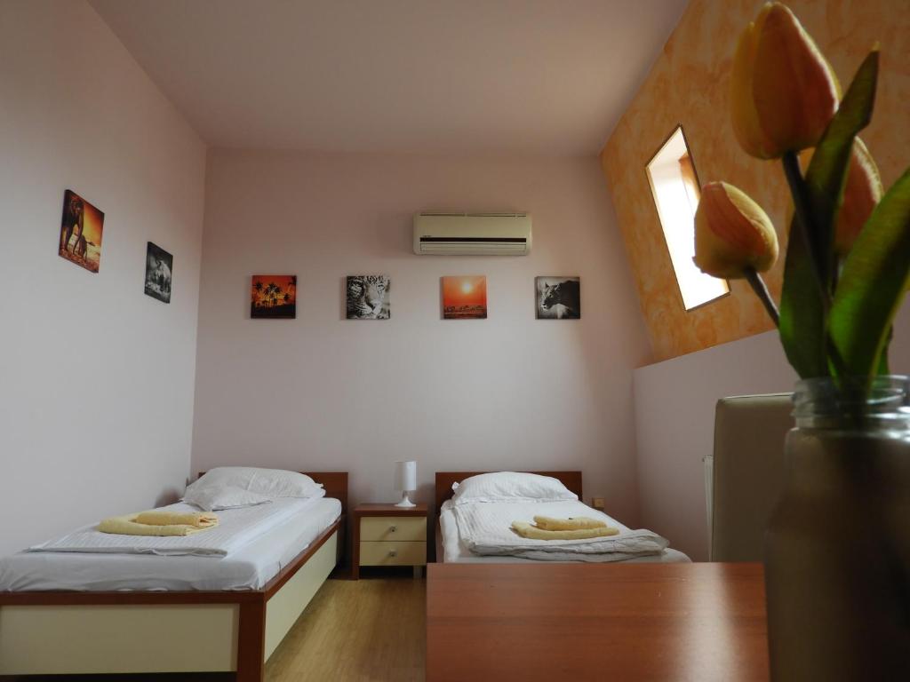 Cette chambre comprend deux lits et un vase avec une plante. dans l'établissement Pensiunea Caramell, à Cluj-Napoca