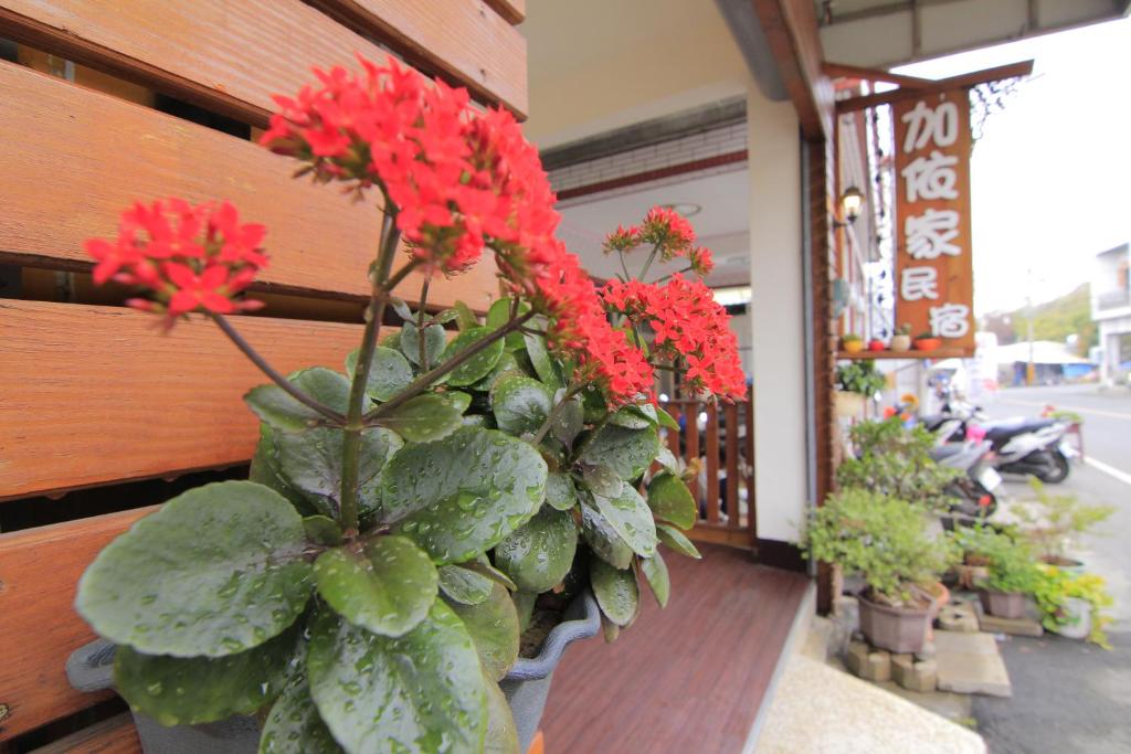 Zahrada ubytování 加依家溫馨民宿Home Sweet Beach Hotel