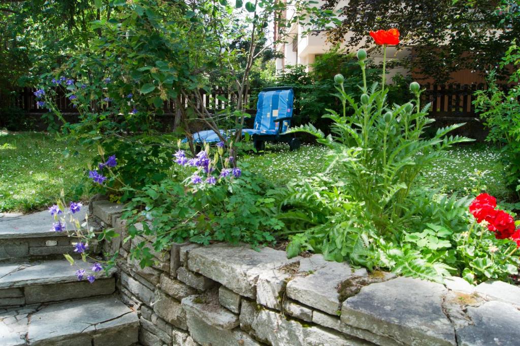 Hotel Alpina - Resim 33